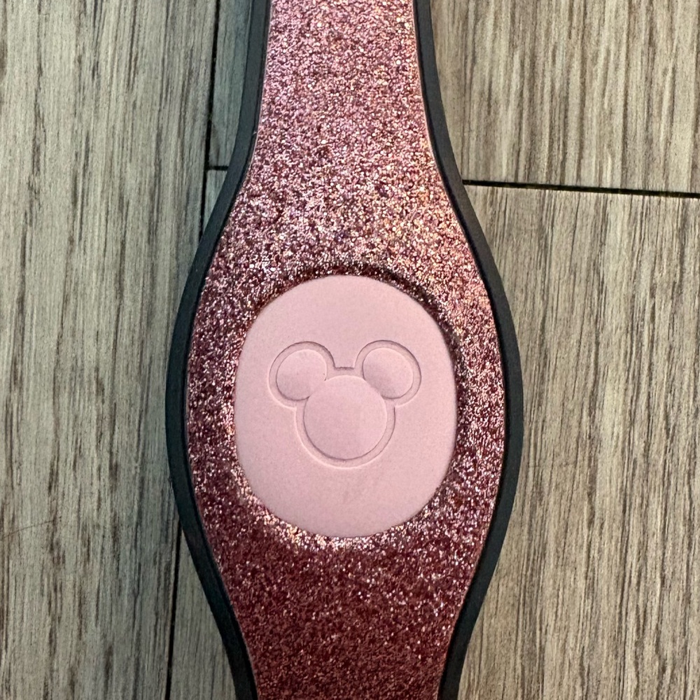 Disney World Magic Band